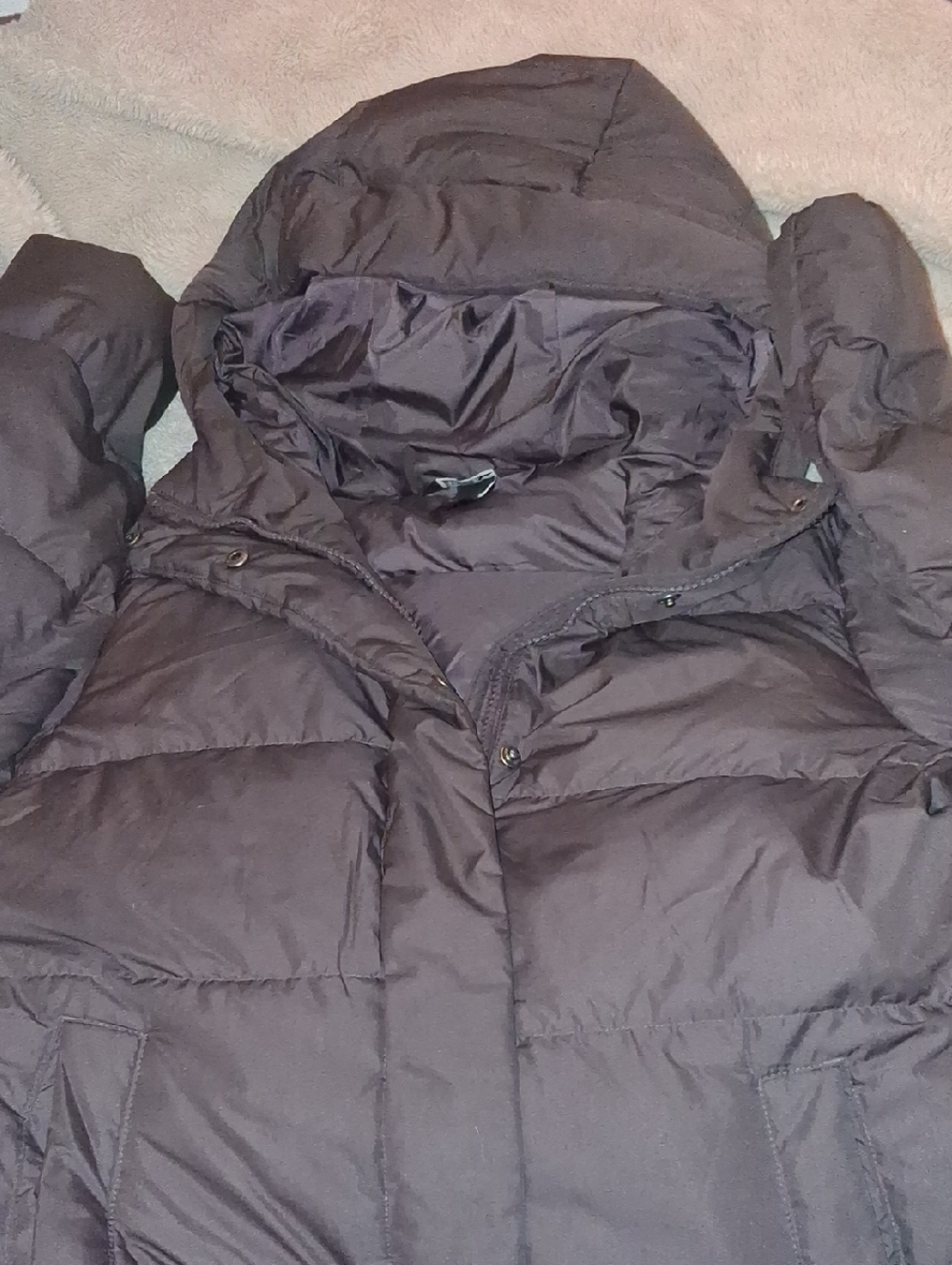 Eddie Bauer Women's Quilted Jacket in Deep Purple